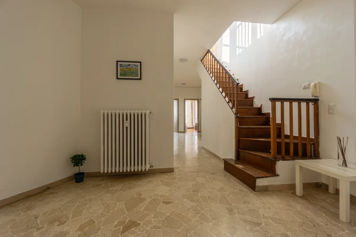 1 Viola – Ingresso